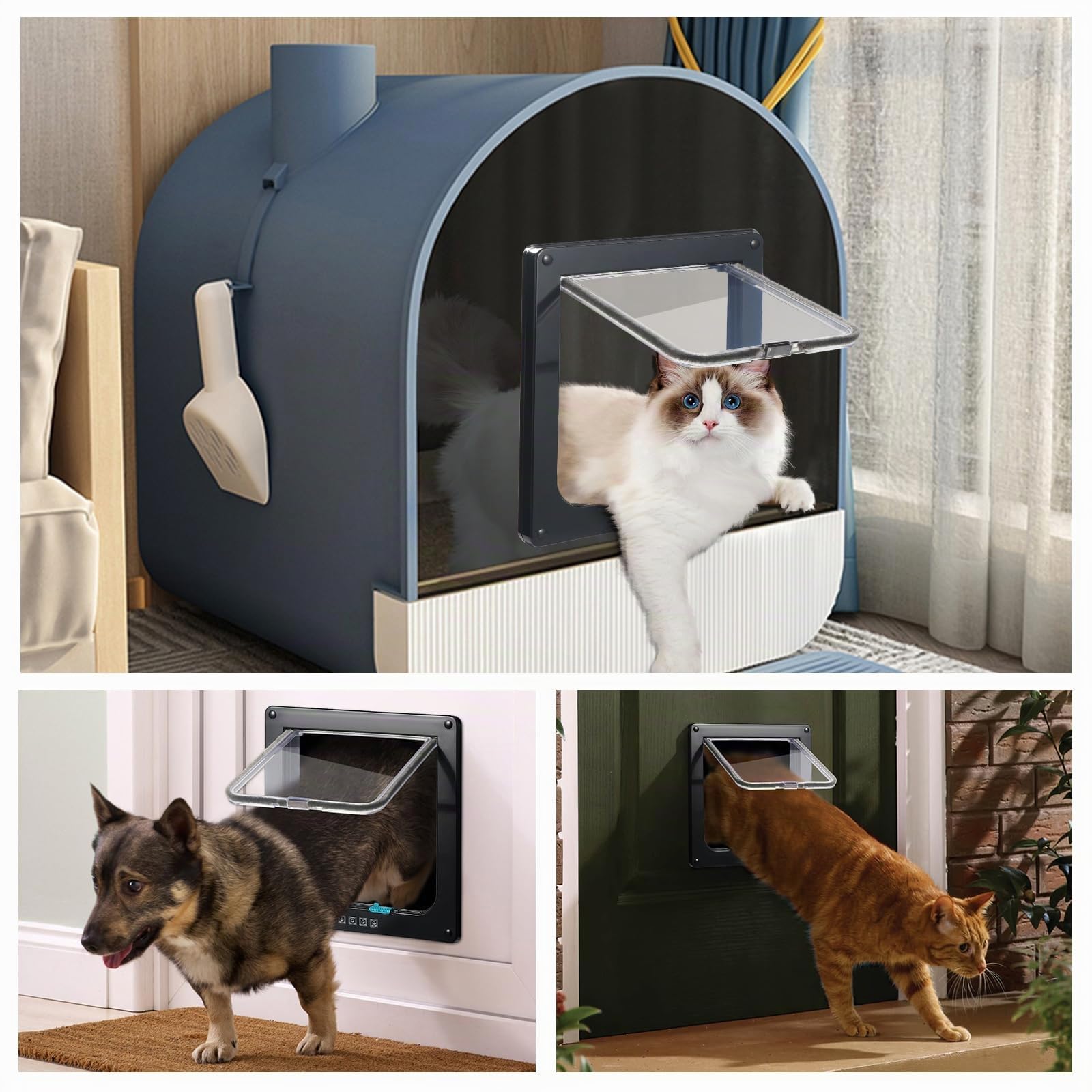 Roxanex Porta per gatti grande, 20 cm x 18,5 cm, facile da montare, per finestre sottili, porta di sicurezza per animali domestici con serratura a 4 vie, resistente alle intemperie, per armadietti