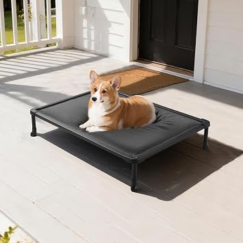 Veehoo Chew Proof Elevated Dog Bed, Padded Indestructible Raised Dog Cot
