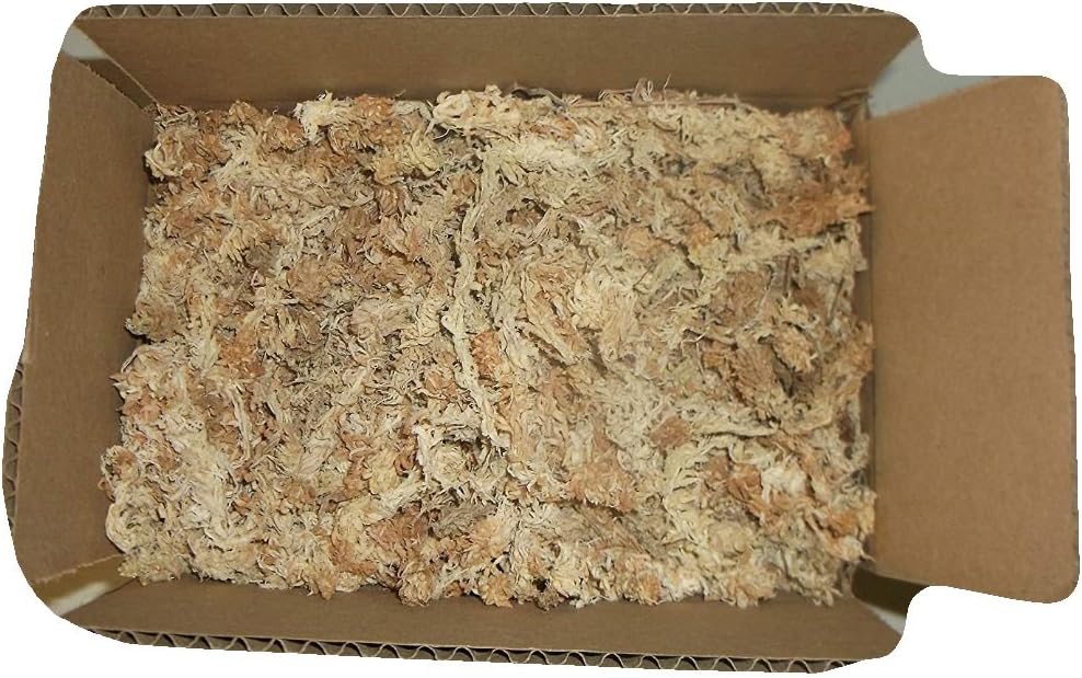 4.5 Ounces of New Zealand SphaNight Vision