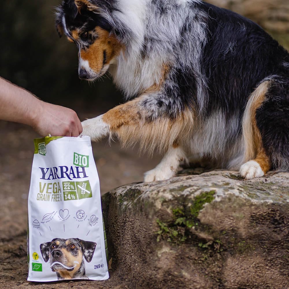 Yarrah Vega Grain-Free | Cibo secco vegetariano | Deliziose crocchette vegetariane senza cereali con soia, piselli, lupino bianco, baobab e alghe biologici per cani adulti | 10kg