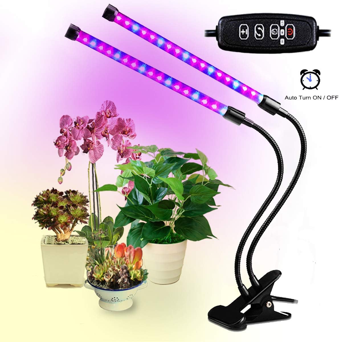 Led Grow Lights for Indoor Plants, Dual Head Plant Lights for Indoor Plants with Auto Turn on/Off, 38 LEDs Full Spectrum Indoor Plant Light,3 Dimmable Modes 3/9/12H/Clip for Plants Seedling-Black