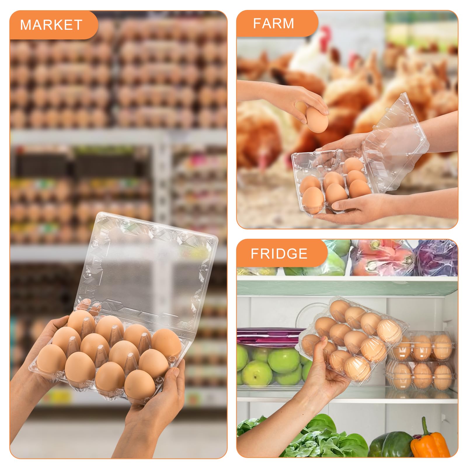 Confezione da 60 cartoni per uova, in plastica, 3 x 4, economici sfusi per 12 uova, ideali per frigorifero, allevamento di polli, mercati degli agricoltori e esposizione commerciale