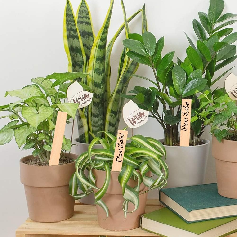 50Pcs Plant Labels Wooden Plant Tags Waterproof Garden Markers Plant Markers Garden Labels Sticks Eco-Friendly Wooden Plant Sign Stakes Sticks for Seed Pot Herbs Flowers Vegetables, 6” * 0.78” : Patio, Lawn & Garden