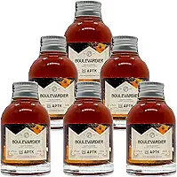 Miniatura Drink Boulevardier APTK Spirits 100ml 6 Unidades