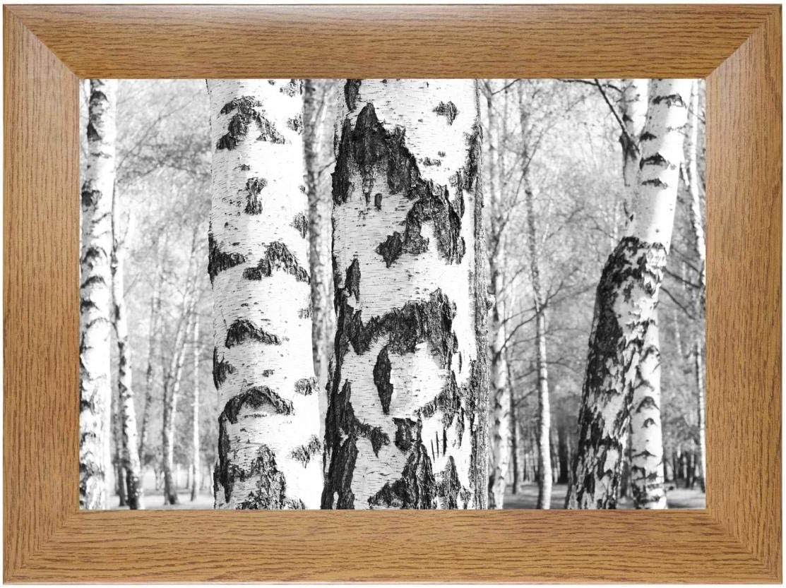 EUROLine50 Picture Frame 10 x 22 cm Colour Oak Rustic Portrait and Landscape Orientation Wall Hanging