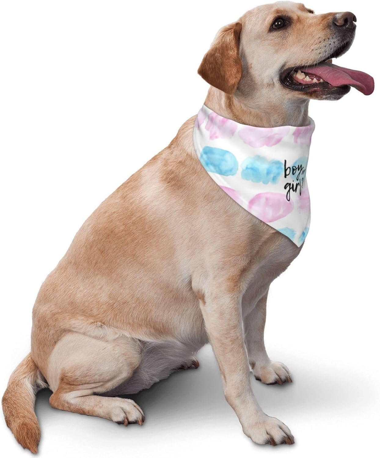 He Or She What Will It Be? Gender Reveal/Baby Announcement Dog Bandana,Pet Neckerchief for Pets Daily Wear Photo Prop Party Supplies (Color Block-1) image 2