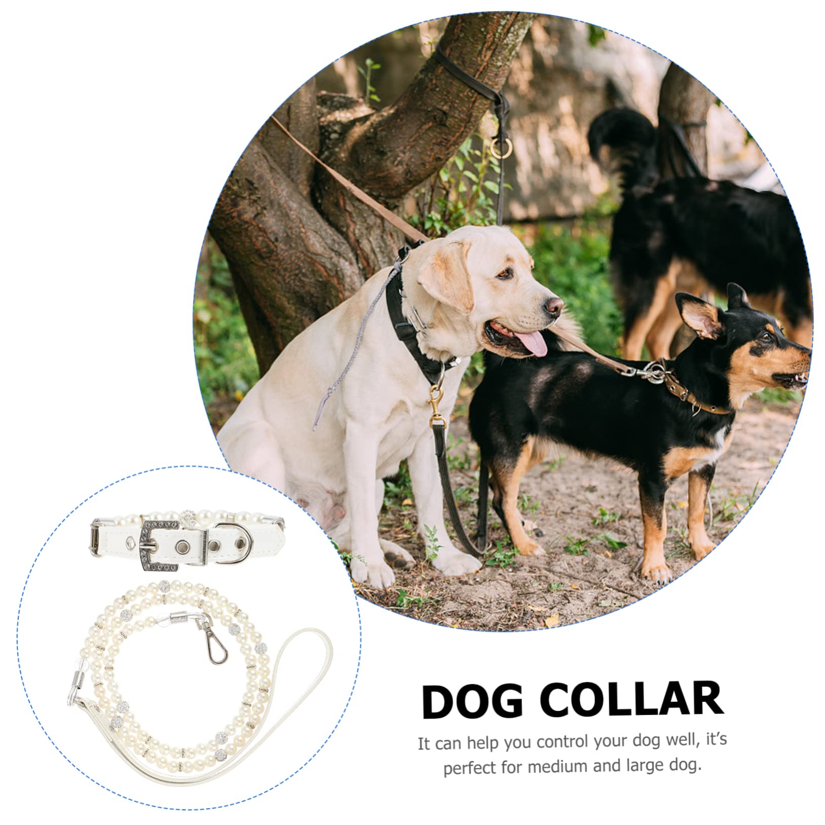 COLLBATH Set 2 Pezzi Collare e Guinzaglio per Cane Perle Regolabile in Pelle Pu per Cuccioli, per Addestramento e Feste di Animali Domestici
