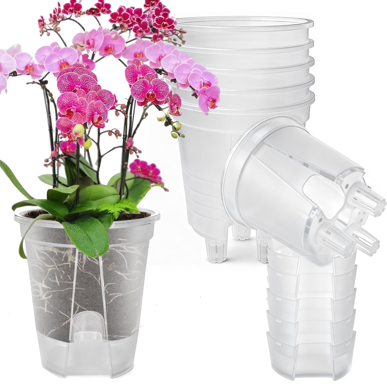 Cdd's Path Large Naked Root Planter