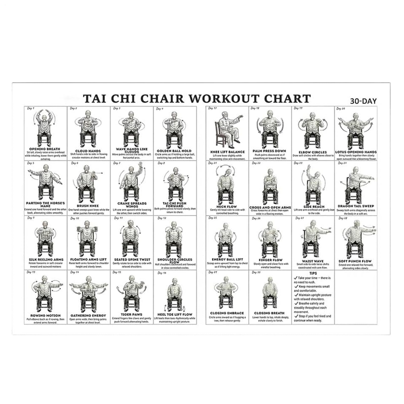 Tai Chis Chair Workout Chart, 30X45CM Non Glare Yoga Chair Weight Loss Chart, Printable Tai Chis Chairs Exercise Charts, Multipurpose Chairs Yoga Poster Gym Wall Art, for Seniors & Beginners