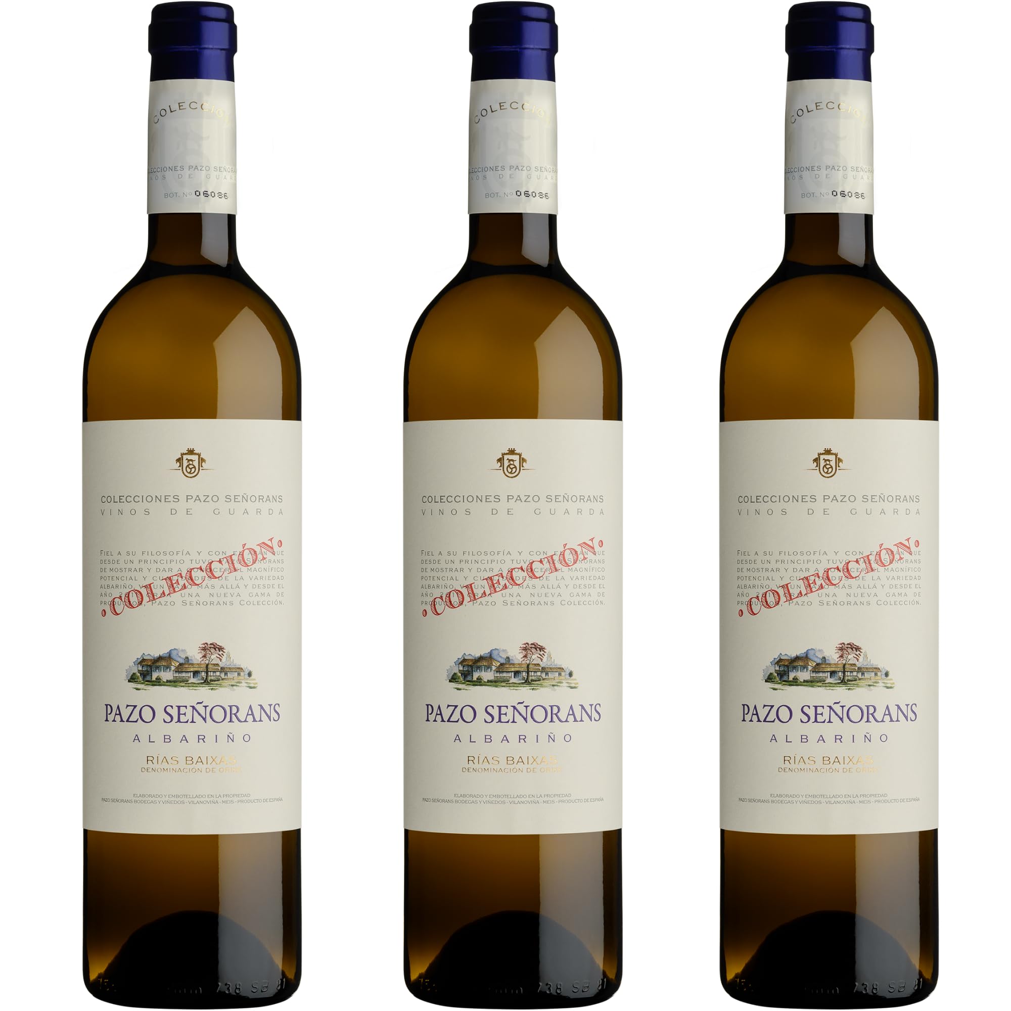 Pazo Señorans – Albariño Colección | 100 % Albariño | 12,5 % vol. | 5 meses sobre lías + 30 meses en botella | Elegante y complejo - 3 Botellas 75cl