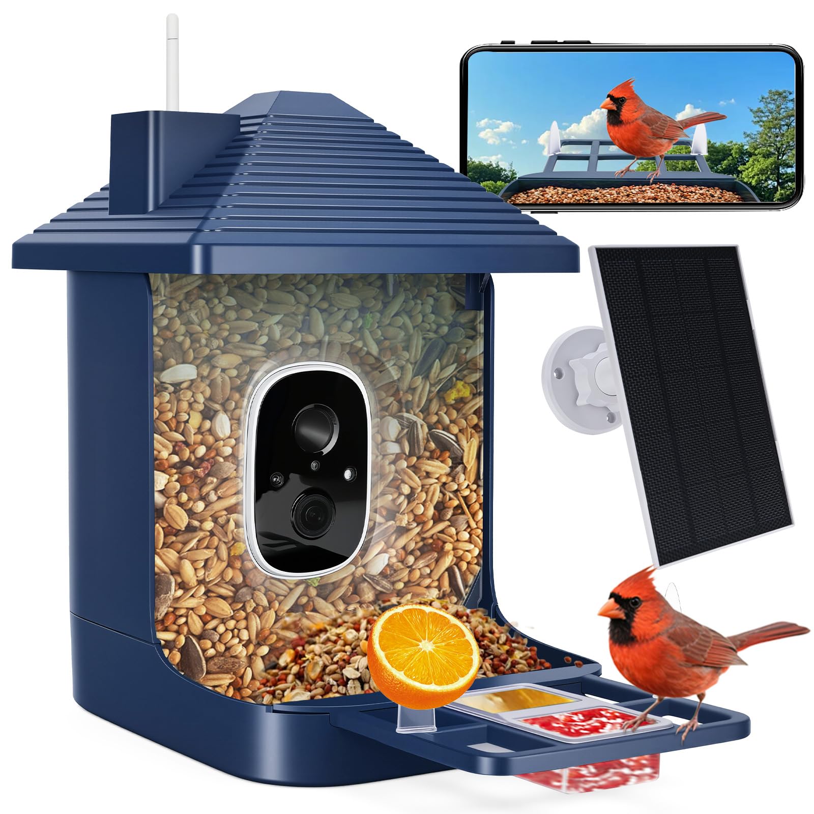 Comedero para pájaros con cámara alimentada por energía solar, identificación de especies con IA, alertas de llegada instantáneas, captura de video HD 2K, vista en vivo, regalo para los amantes de los