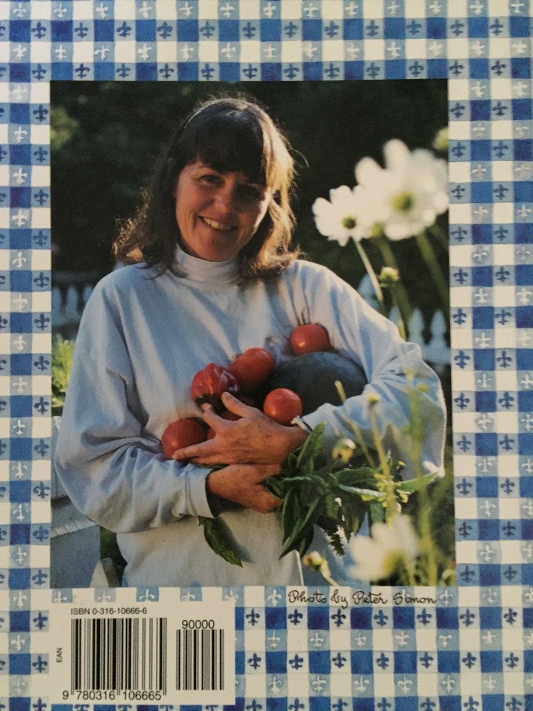 The Summer Book