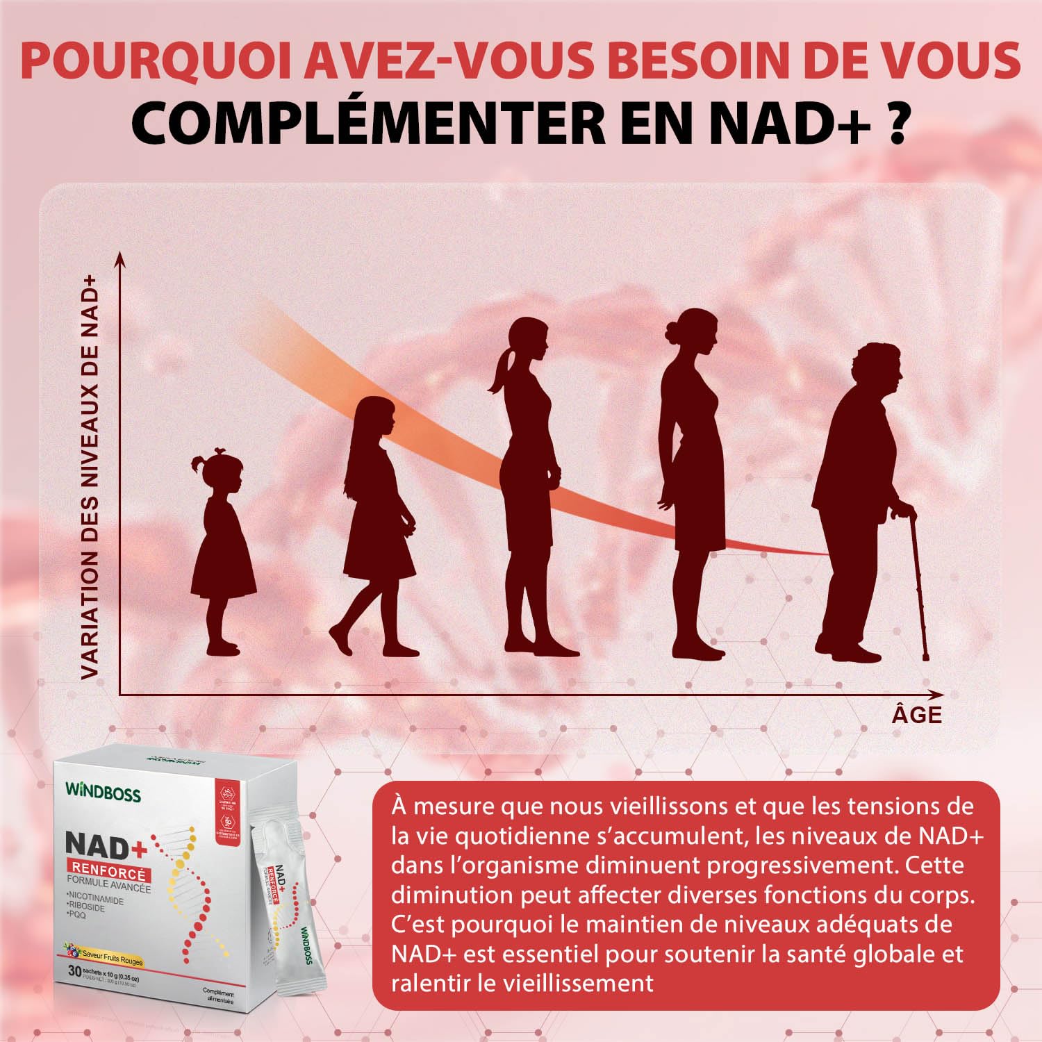 Windboss Liquide à Haute Puissance NAD+ 1000mg, NRHM ULTRA RENFORCÉ & PHYTOSOME DE QUERCÉTINE, TRANS-RESVÉRATROL– Stimule l'Énergie Cellulaire, la Concentration et le Vieillissement Sain