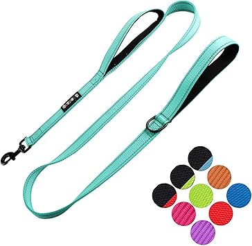 3M Reflective Dog Leash 5ft Long with Traffic Padded Handle, Dog Training Leash Heavy Duty,Double Handle Lead for Large or Medium Dog