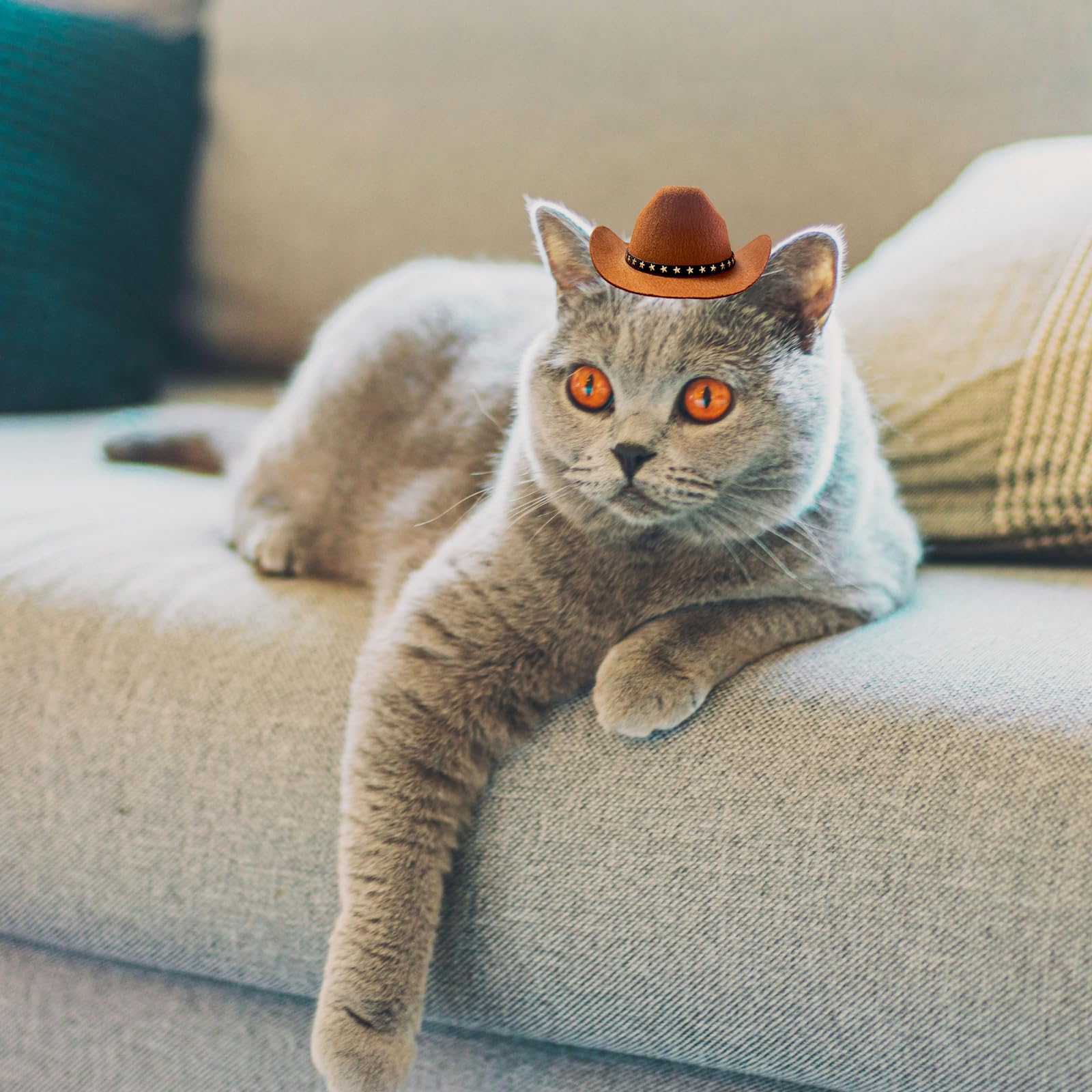 Hotumn Costume De Cowboy Pour Chien – Avec Chapeau – Taille M Pour Petit Chien/chat – Déguisement Halloween