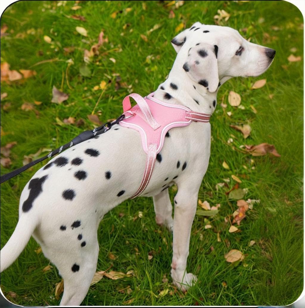 Dog Harness No Pull Adjustable Reflective Oxford for Small Medium Large Dogs Walk Training Pet Owners (Pink+Yellow+Black+Orange, X-Small)