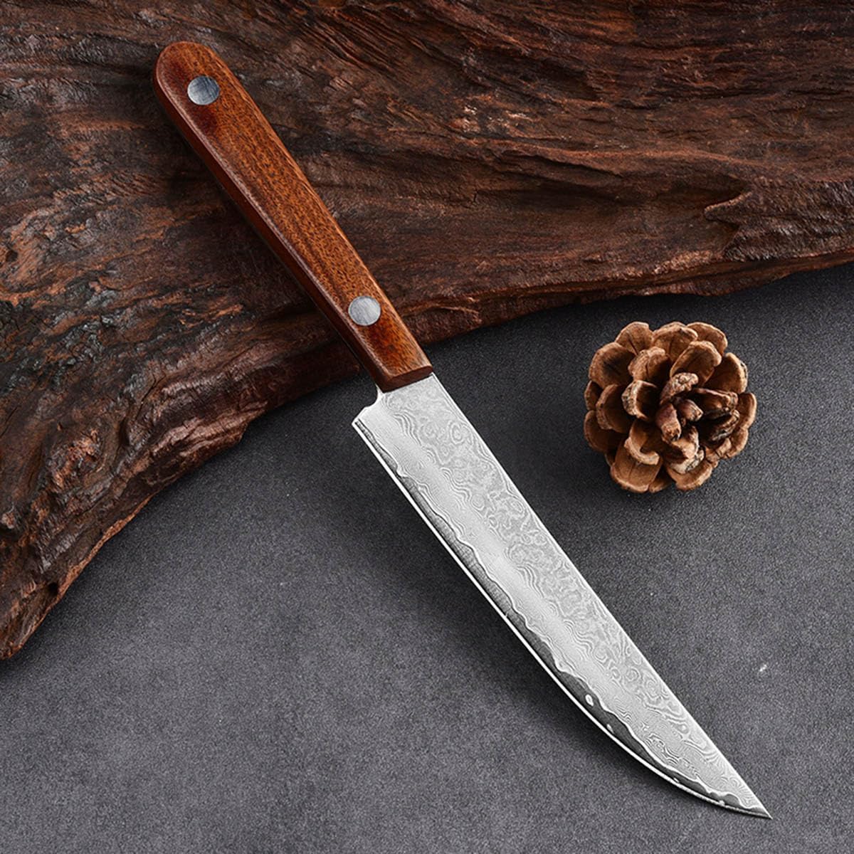 5 inch Steak Knives Set of 6,Non-Serrated Steak Knives with Wood Handles,67 Layers Forged Damascus Steak Knife Set with Gift Box,Ultra Sharp
