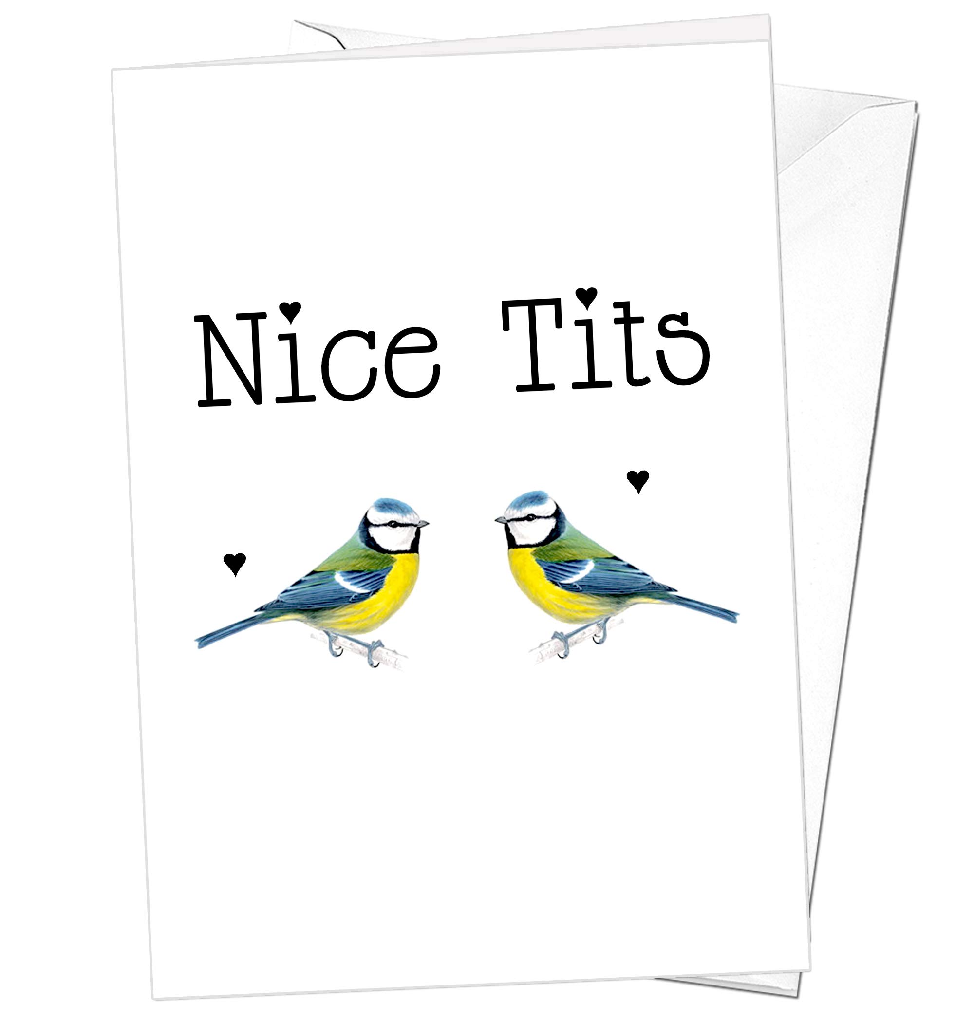 Nice Tits Comical Greetings Card Birthday Christmas Female Sister For Her Mum Cousin Niece Auntie Best Friend Blue Tits Birds Funny Witty Cheeky Blunt Sarcastic Alternative Hilarious