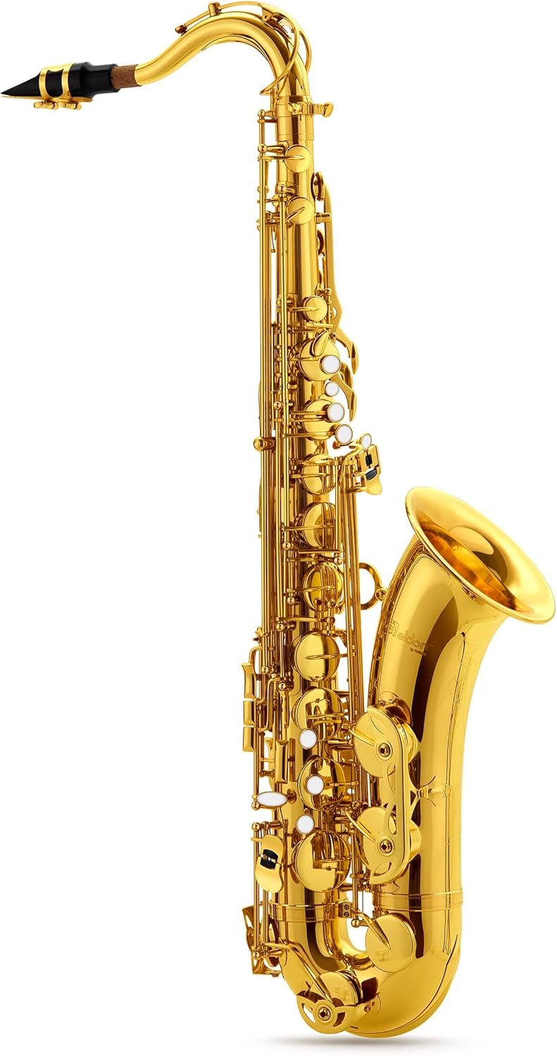 TS-22 Bb Tenor Saxophone Lacquer Outfit With Case