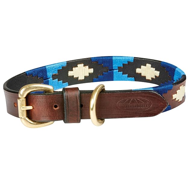 Weatherbeeta 2022 Polo Leather Dog Collar 1001699038 - Brown/Blue