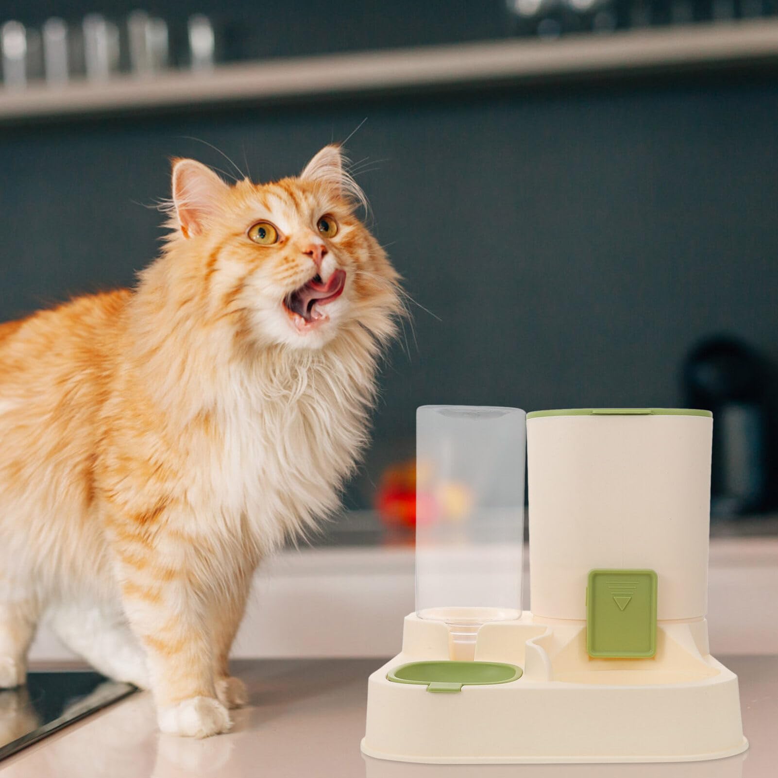 Dispenser Grande e Gatti Acqua per Cani per Cibo Automatico Capacità | Bottiglia Acqua Trasparente, Separazione Secco e Umido, Materiale Pp, 1, 3 l Acqua e 2, 3 l Cibo