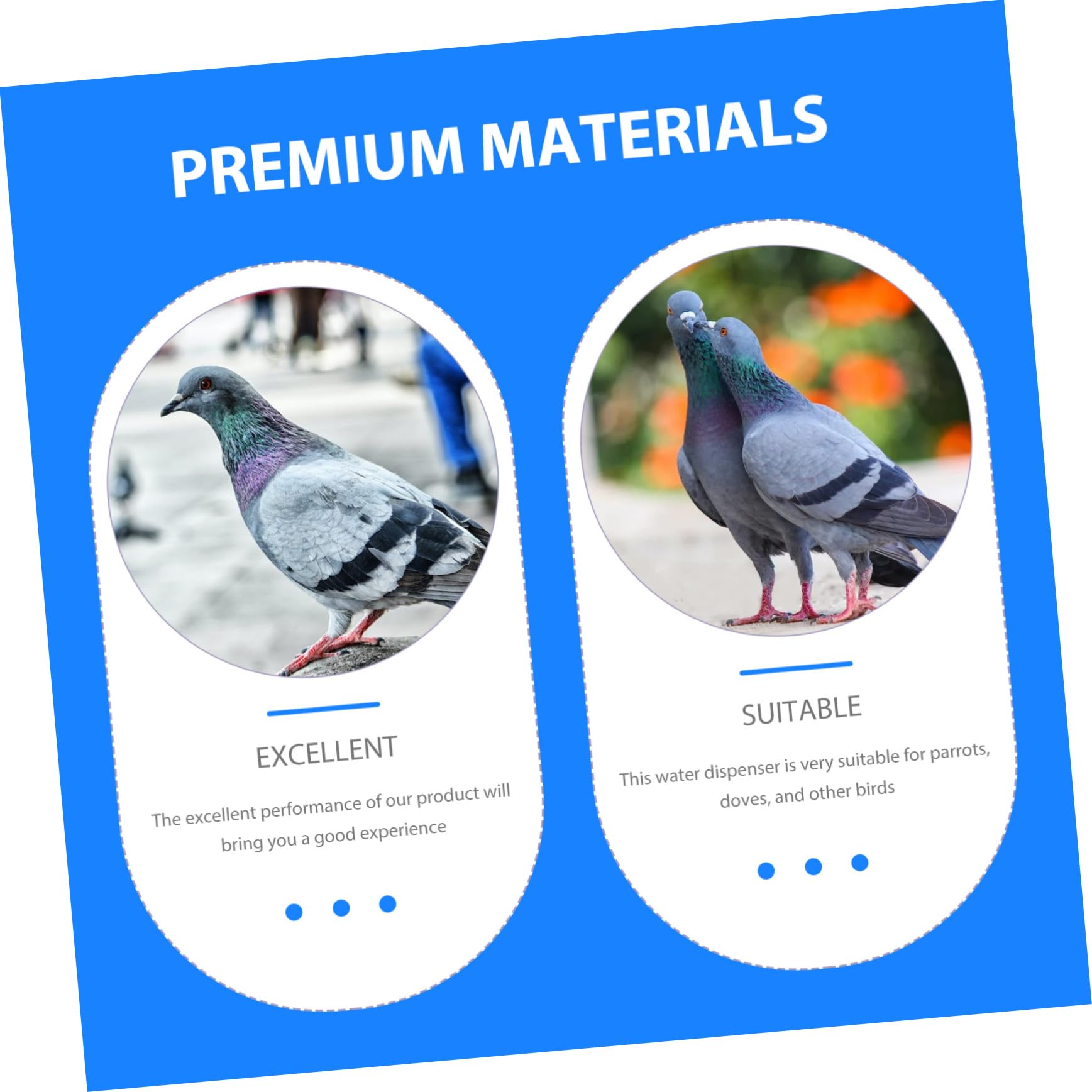 Abreuvoir Automatique pour Pigeons et Colombes 4l en Plastique Bleu | Amovible, Facile à Nettoyer, Design Robuste, Forme Ronde, Usage pour Oiseaux Domestiques