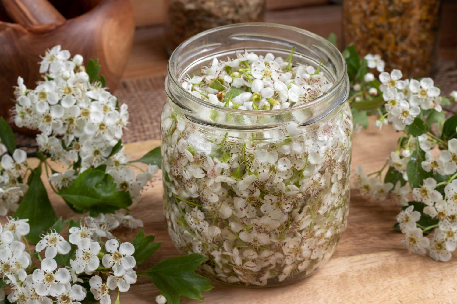 Espino Flor (Crataegus L - Crataegus Flos) 50g / Hawthorn Flower - Health Embassy - 100% Natural