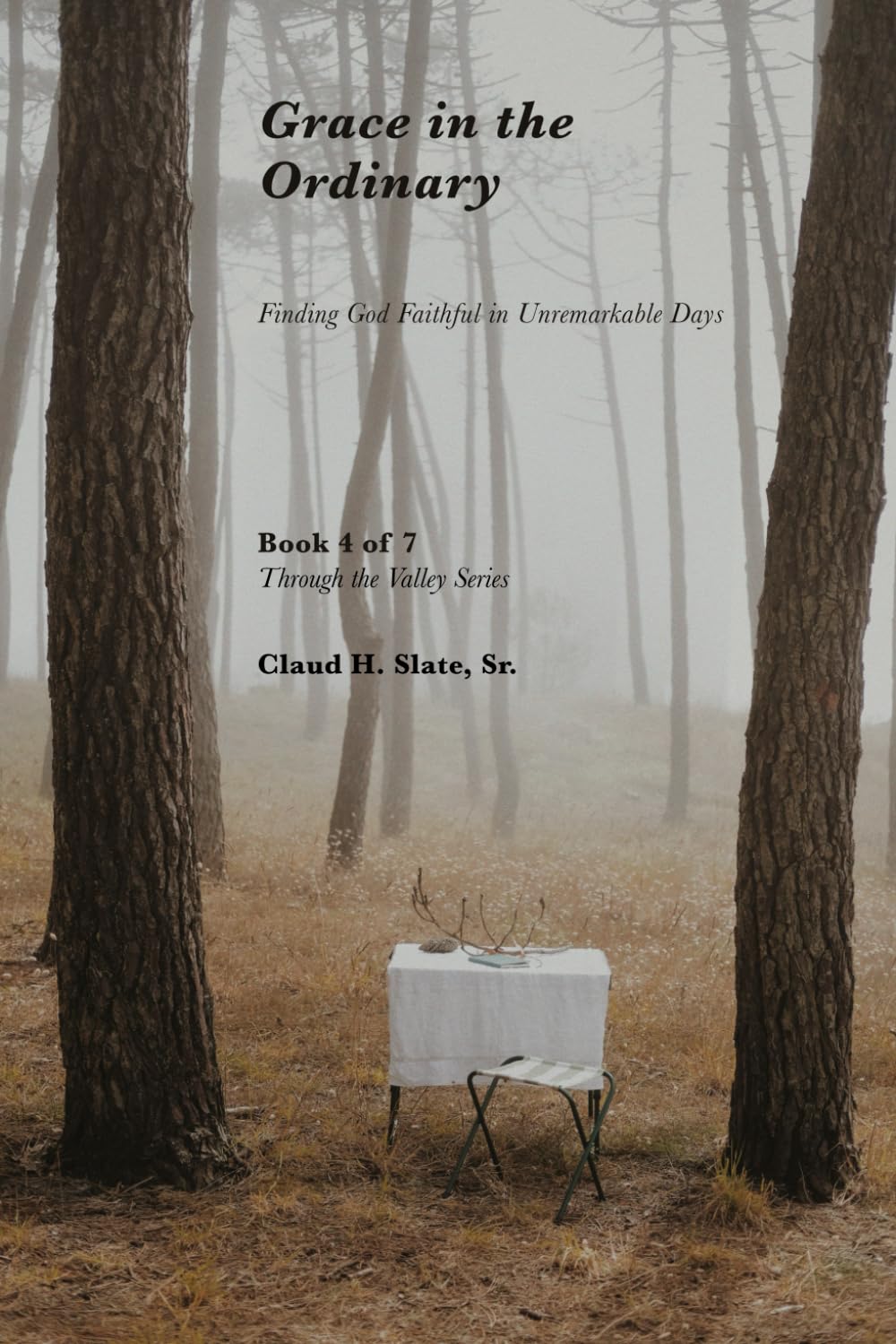 Grace in the Ordinary: Finding God Faithful in Unremarkable Days (Through the Valley: A Journey of Faith, Pain, and Healing)