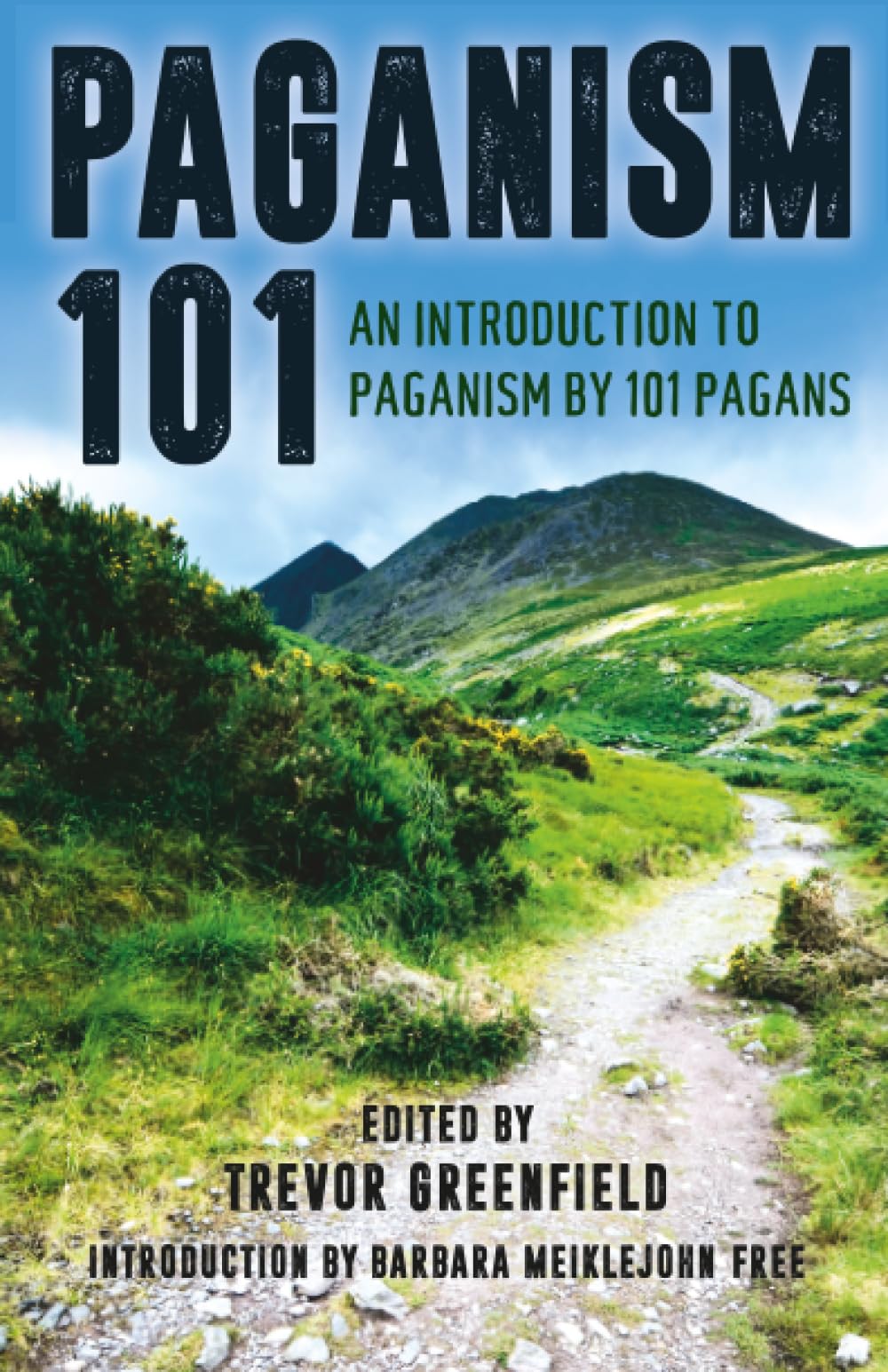 Paganism 101: An Introduction to Paganism by 101 Pagans