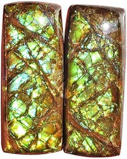 Förtjusande intryck naturlig ammolit röd grön fin cabochon storlek 25 x 10 x 5 mm örhängen smycken ädelsten mors dag present till henne
