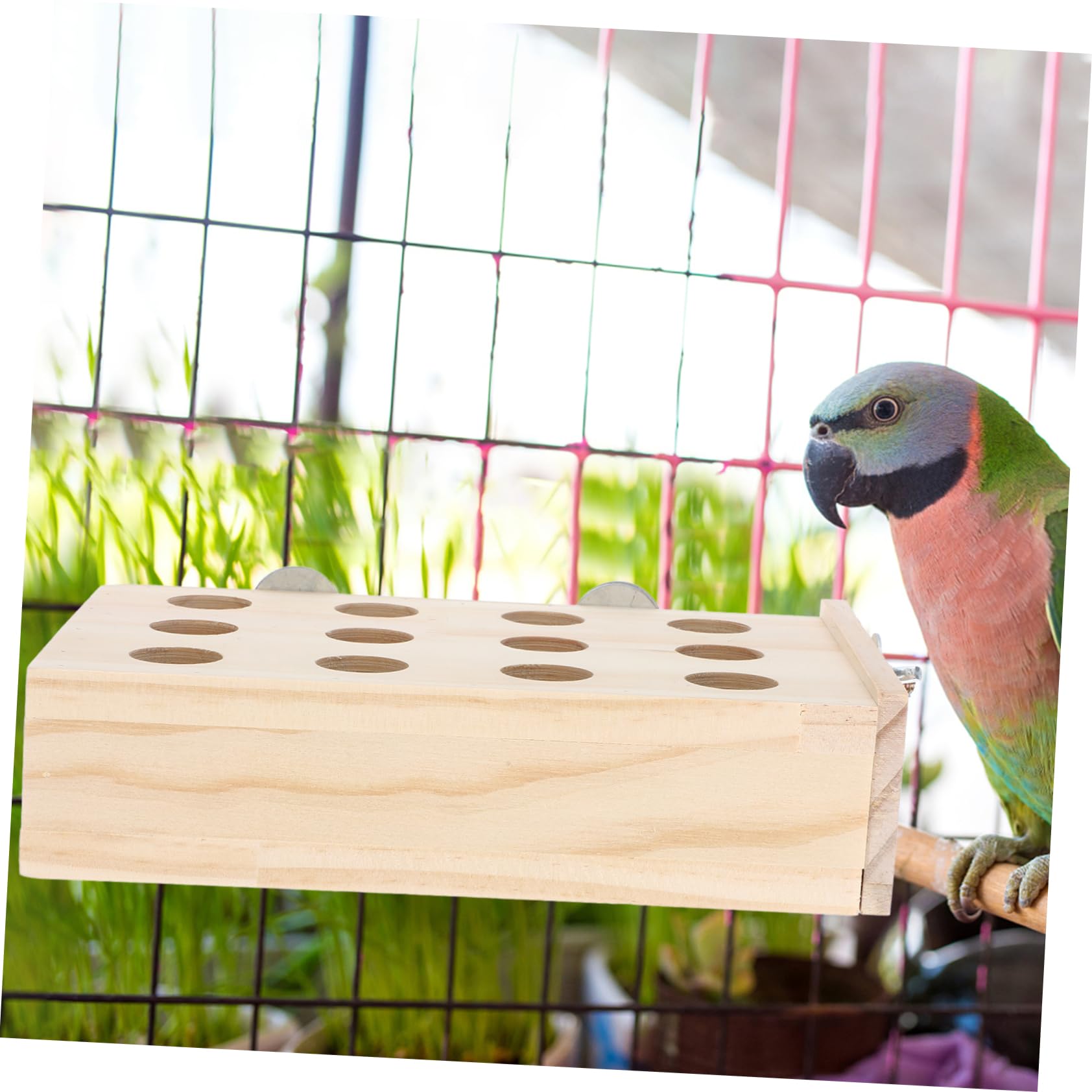 Sosoport 5stücke Vogelspielzeug Für Papageien Kauspielzeug Zur Beschäftigung Intelligenz Für Wellensittiche Und Andere Vögel Farbenfroh Und Unterhaltsam