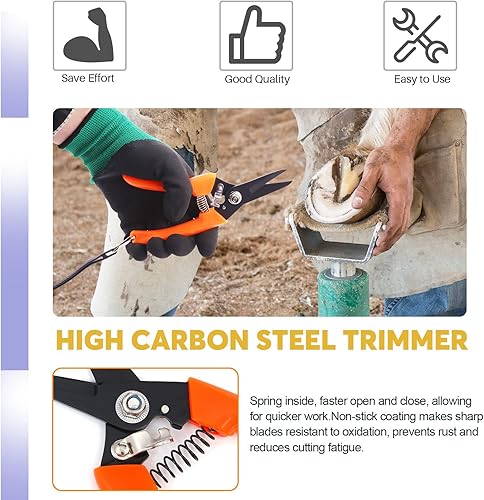 Miniatura 6 de Swpeet 12 herramientas profesionales de herrador con paquete de rollo, tijeras de recortadora de pezuñas de caballos, lima de escobilla de herrador,