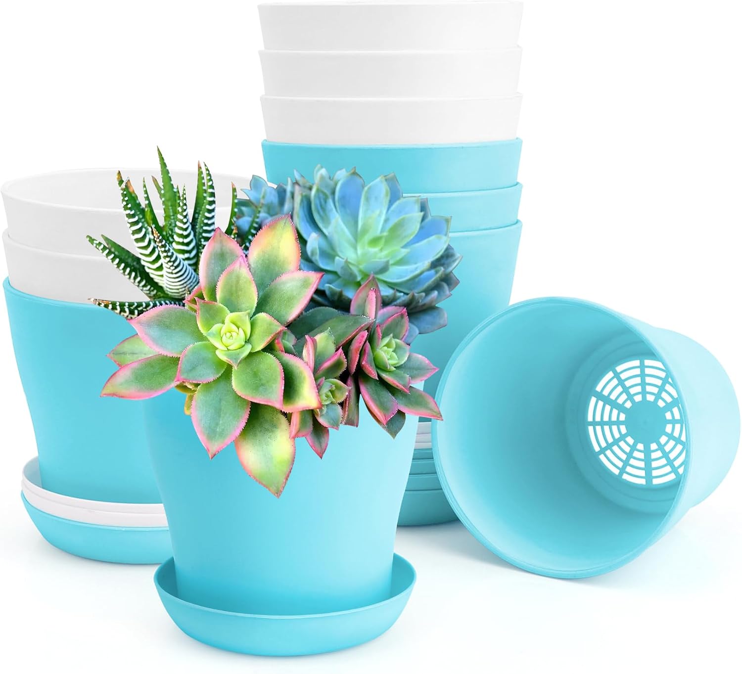 OALCQ 4 Inch Small Flower Pots - 24 Pcs, 8 Colors, Indoor Plant Pots with Drainage