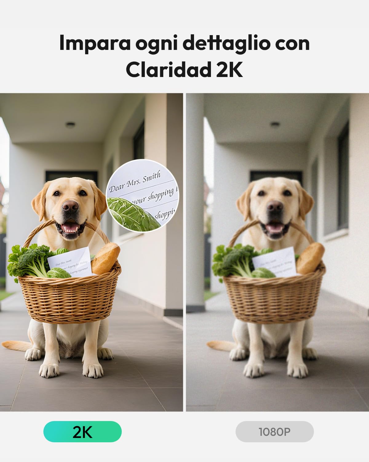 BOTSLAB Videocitofono Impermeabile 2K con Pannello Solare, WiFi a 2,4 GHz | Videocitofono con Alimentazione Continua, Visualizzazione 1:1 testa-piedi, Audio Bidirezionale, Rilevamento di Presenza umana