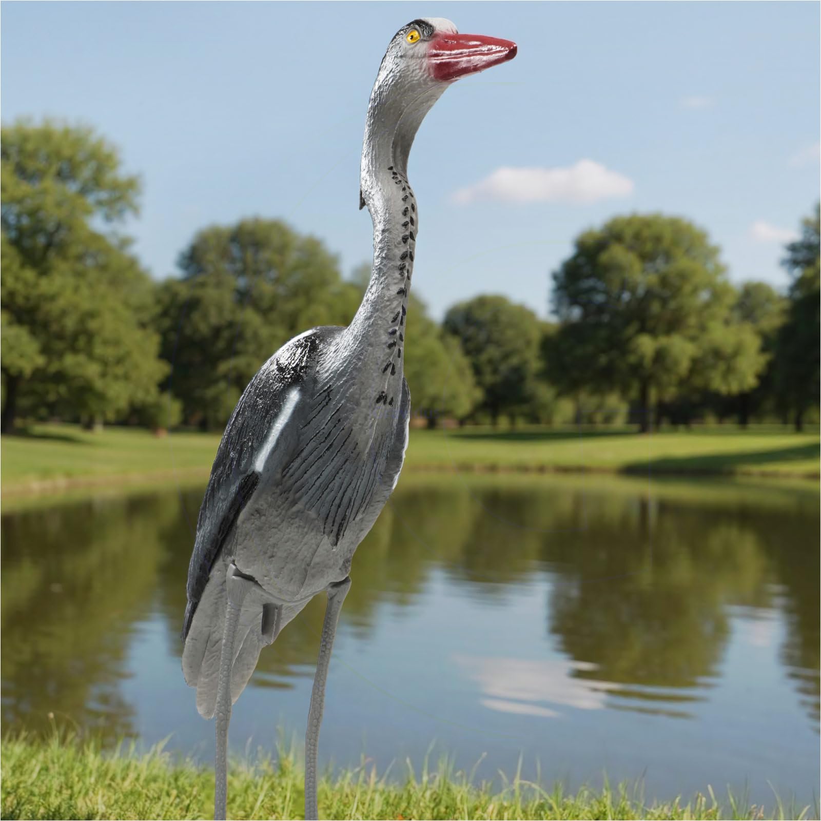 Gravidus Täuschend echte Fischreiher-Attrappe - Handbemalte Gartenfigur aus wetterfestem Kunststoff, Reiherschreck für Teich und Pool, 57 x 14 x 75 cm