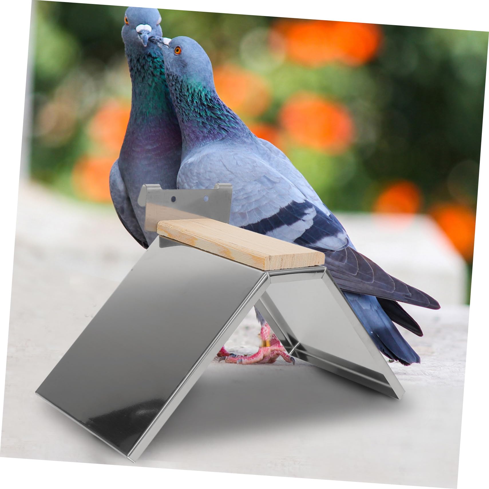 Kisangel 6 Piezas Percha para Palomas Soporte para Loros Soporte para Descanso Estante De Entrenamiento para Loros Juguete para Mascotas Jaula para Pájaros Percha Accesorios para