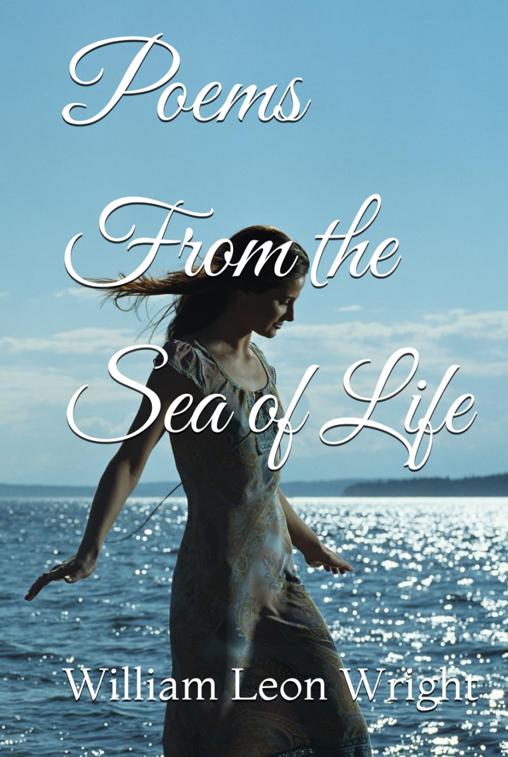 Poems From the Sea of Life