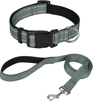Reflective 6FT Dog Leash and 10"-15.5" Dog Collar Set, Soft Padded Basic Collar and Padded Handle Leash for Small Dogs, Grey