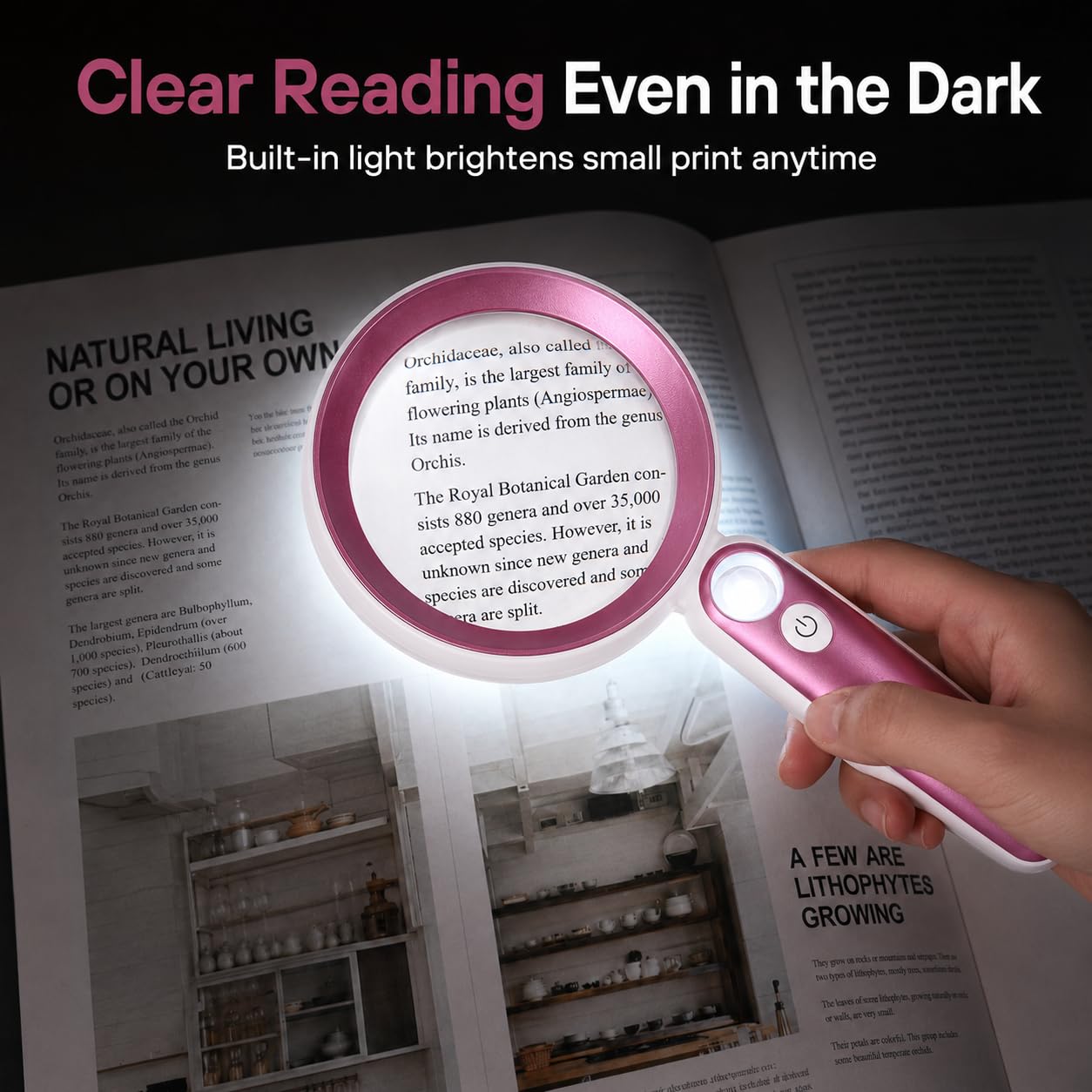 View 6