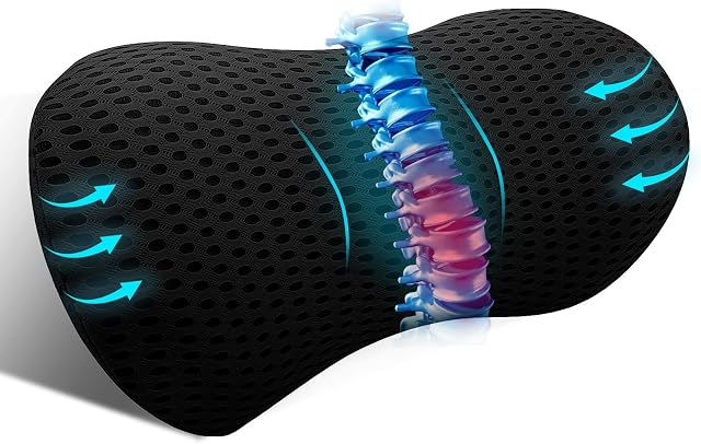kasney Lumbar Support Pillow Ergonomic Memory Foam Lumbar Pillow, Relieve Back Pain, CMFY Breathable & Detachable & Washable, Neo Cushion Lower Back Pillow for Office Chairs, Car Seats (Black)