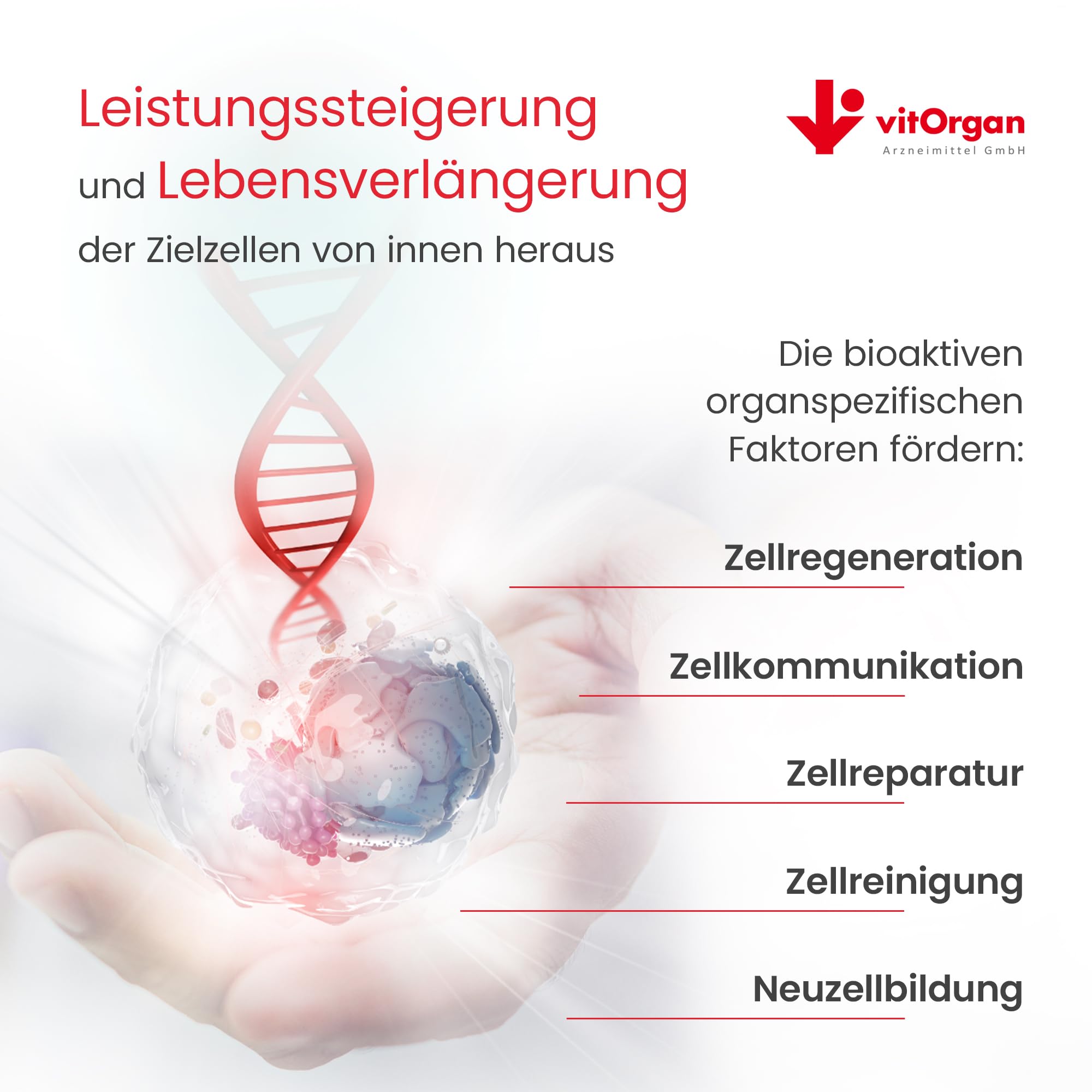Nr. 29 Thymus mit Thymusextrakt, Vitamin D und Selen zur Unterstützung des Immunsystems, Abwehrkräfte stärken und die Thymusdrüse unterstützen - Glutenfrei und Laktosefrei - 60 stk