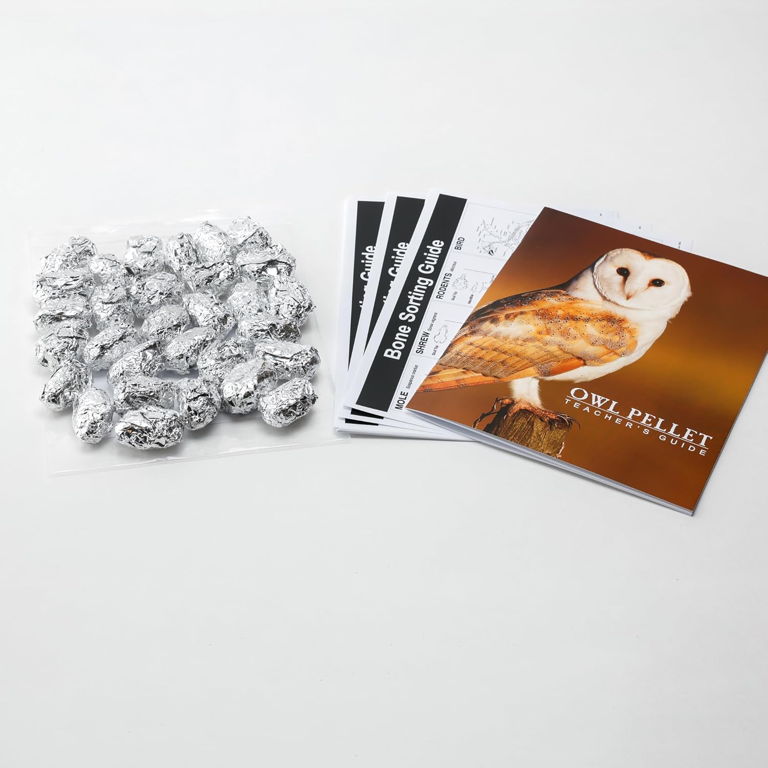 30 Pack Large Owl Pellets with 30 Bone Sorting Sheets and Teachers Guide