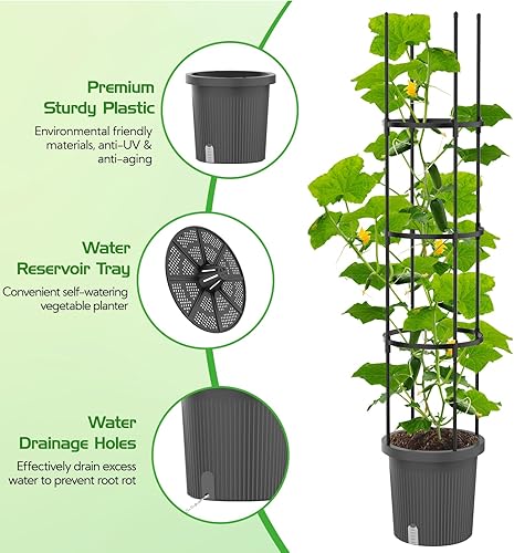 Miniatura 3 de Paquete de 2 macetas de tomate con enrejado para plantas trepadoras al aire libre, maceta elevada de riego automático, jaula de tomate, enrejado de