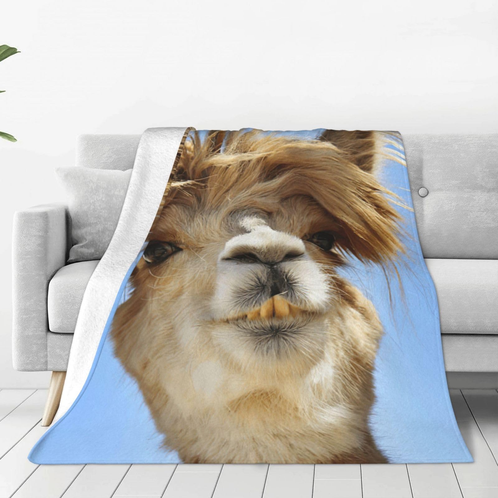 Couverture polaire douce alpaga pour vos soirées cocooning sur le canapé