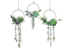 SWTHONY Set of 3 Geometric Wall Hanging Faux Succulent Wreaths
