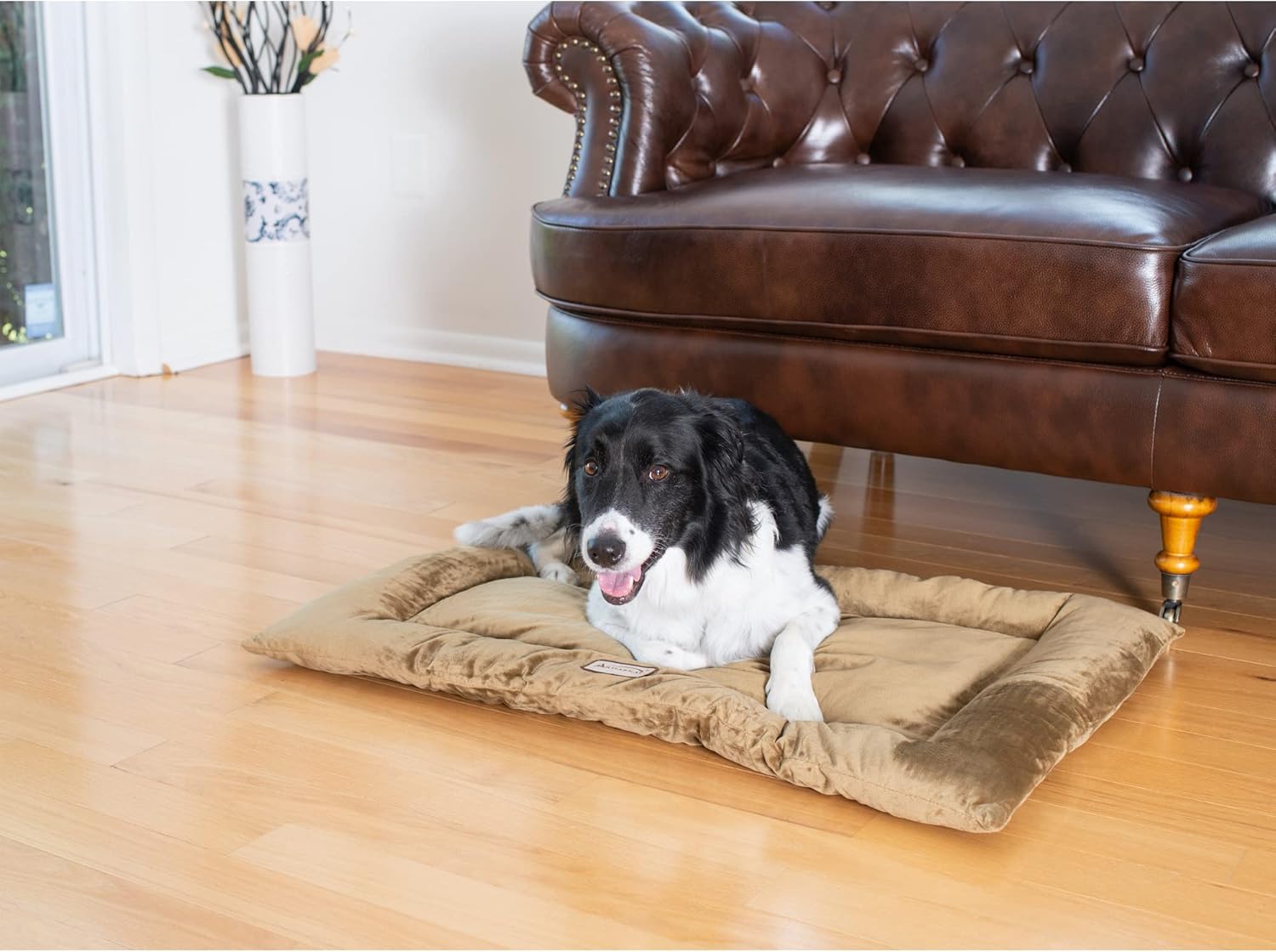 Armarkat Pet Bed Mat 35-Inch by 22-Inch by 3-Inch M01-Large, Sage Green