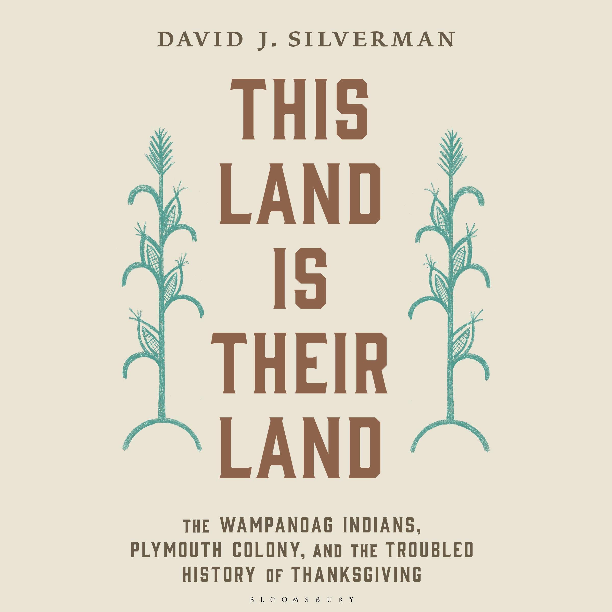 Cover art for This Land Is Their Land