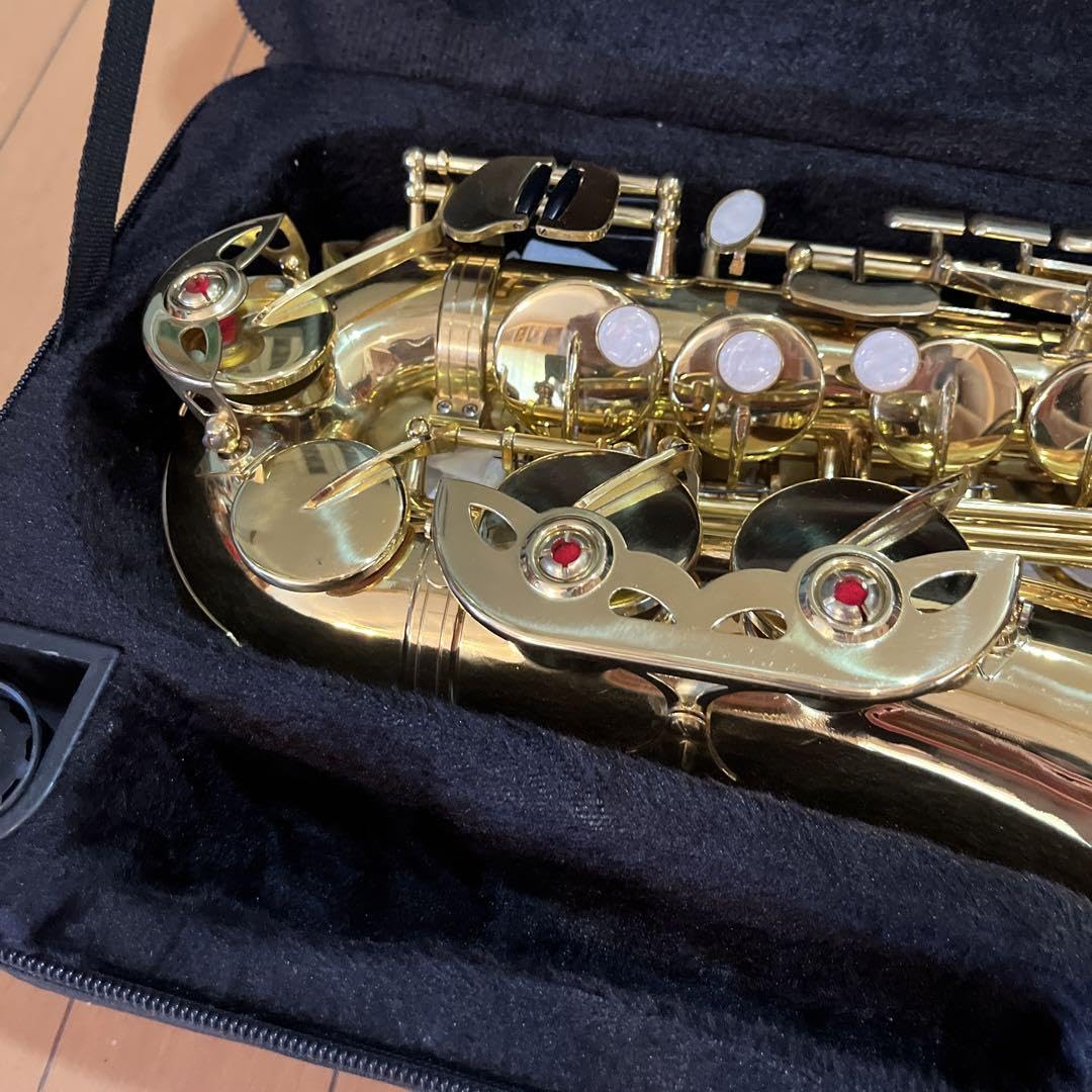 Amazon.co.jp: SAL-1 アルトサックスTM-60 初心者用 : おもちゃ