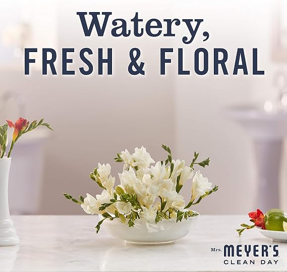 Mrs. MEYER'S CLEANDAY Foaming Hand Soap Rain Water, 10 Oz. (Pack of 6)