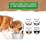 Ver la foto 7